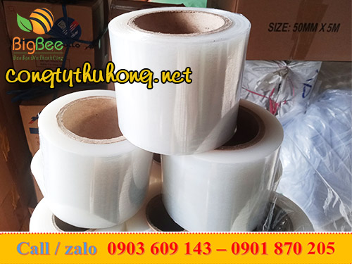 Màng PE trong suốt khổ 10cm