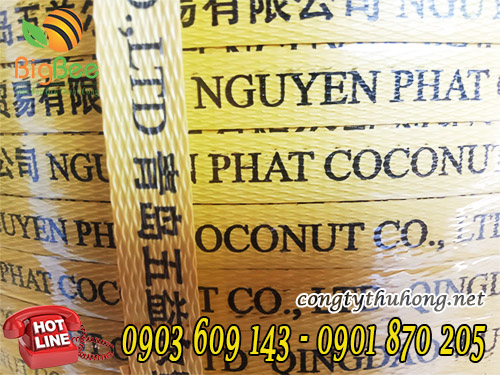 dây đai nhựa in logo