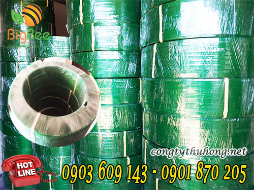 Cuộn 20kg dây đai nhựa pet xanh 1f6
