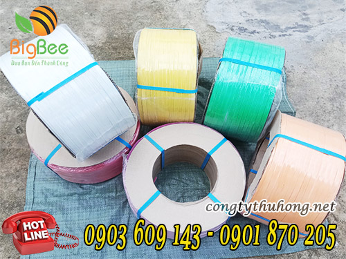 Cuộn dây đai nhựa pp nhiều màu 1f2
