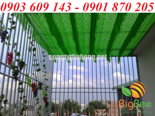 Sử dụng lưới xanh với độ che phủ 70% - 80% ánh nắng