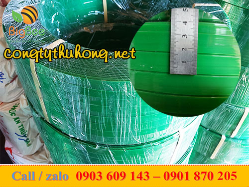 Dây đai nhựa PET trơn bản rộng 1f5 cuộn 20kg