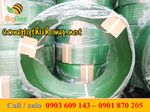 Cuộn dây đai nhựa PET xanh lá 20kg