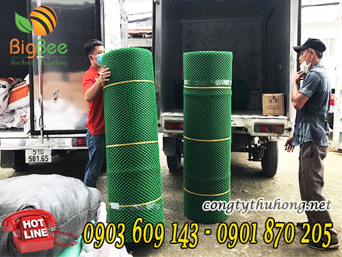 lưới nhựa xanh giá rẻ