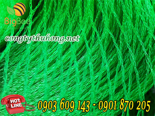 Lưới cước xanh kt ô lưới 2,5cm