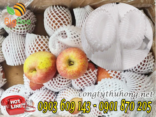 Xốp lưới bọc táo kt 5x12cm