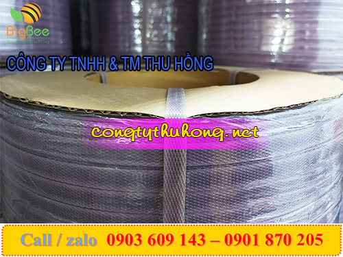 Dây đai pp 1f2 cuộn 10kg không lõi