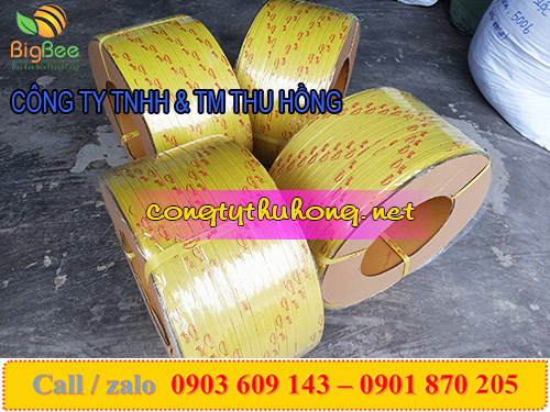 Dây đai nhựa pp in logo theo yêu cầu