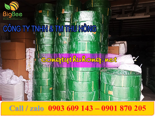 Dây đai nhựa PET 1f6 cuộn 20kg