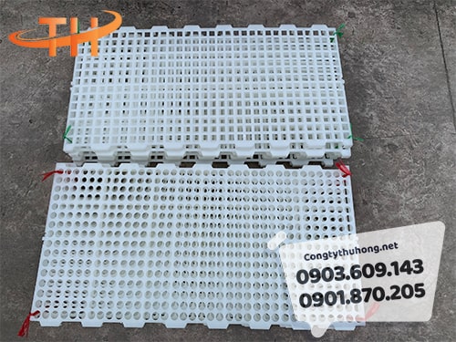 Sàn nhựa nuôi vịt Sàn nhựa nuôi vịt
