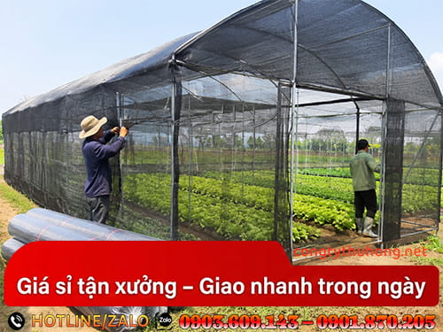 Lưới mùng đen Lưới mùng đen