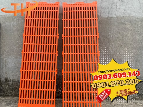 Sàn nuôi heo Sàn nuôi heo