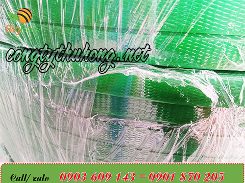 Dây đai pet có bề mặt trơn