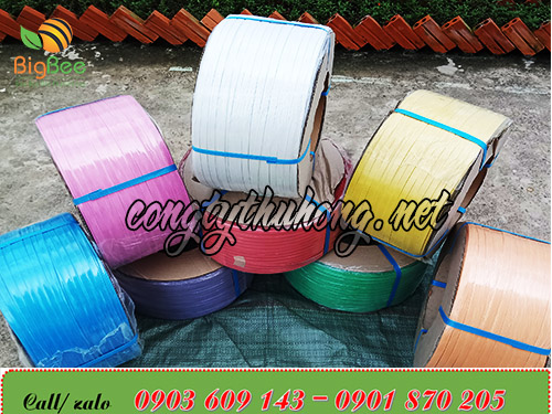 Cuộn dây đai 10kg pp nhiều màu, nhiều kích cỡ