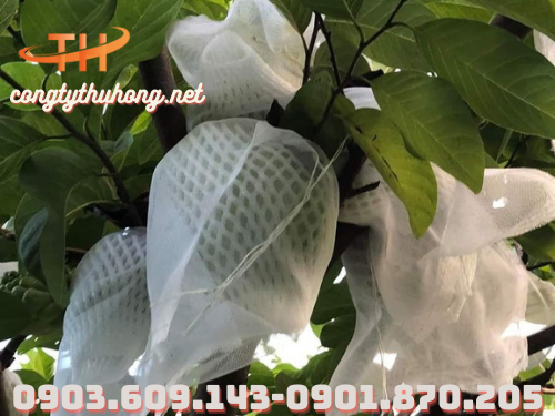 Xốp bọc trái cây