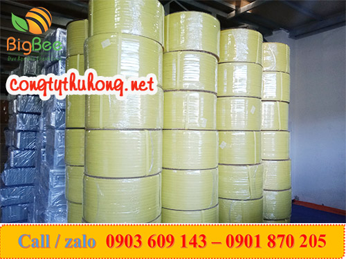 Cuộn dây đai pp vàng 10kg bản rộng 1f2