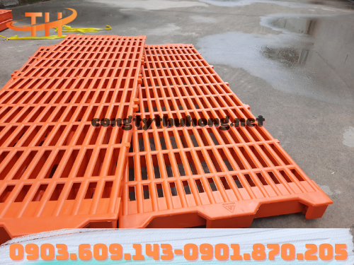 Sàn nhựa nuôi heo