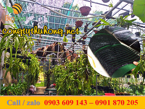 lưới Thái Lan che nắng làm giàn vườn lan