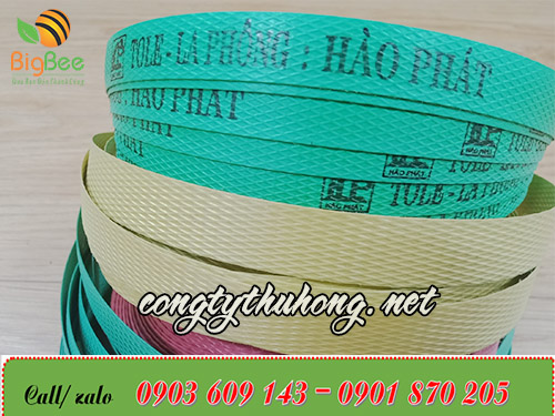 Dây đai nhựa 1f6 in logo