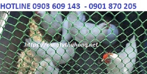 lưới nhựa ngăn gà vịt