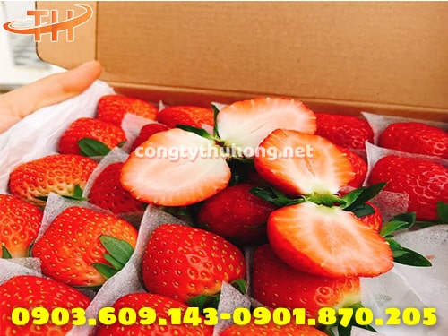 Màng xốp pe foam Màng xốp pe foam