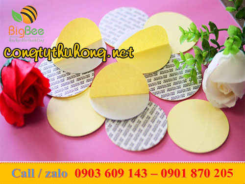 Màng seal tự dính