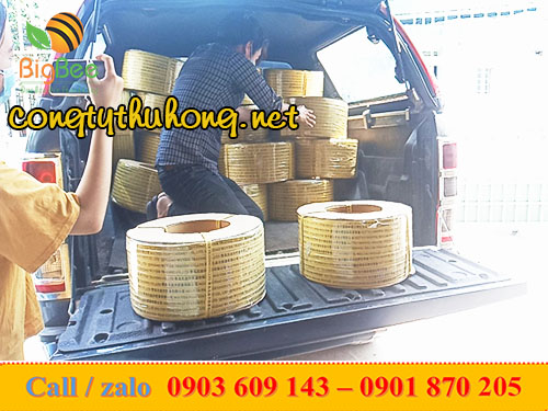 cuộn dây đai in logo