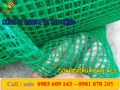 Lưới nhựa xanh ô vuông loại mềm