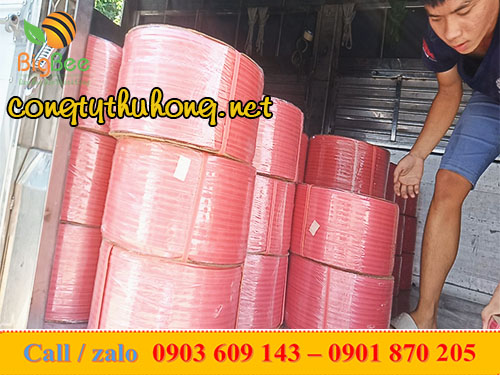 dây đai niềng hàng hóa