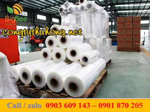 Nhà máy sản xuất màng PE