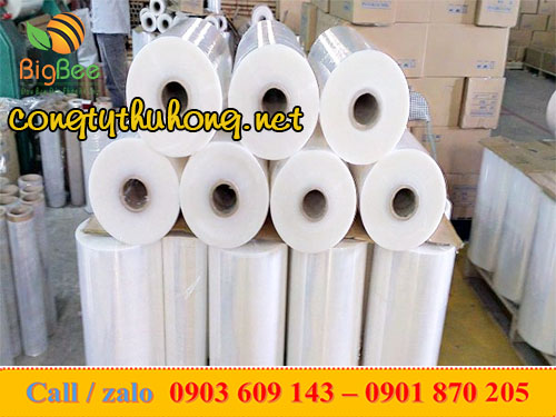 Màng PE quấn máy khổ lớn