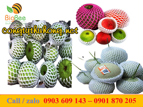 Xốp bọc hoa quả