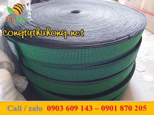 Dây buộc hàng bản 5cm xanh nguyên cuộn 100m