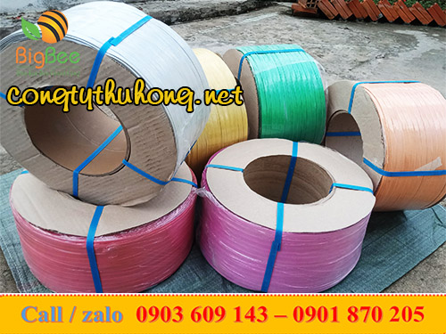 Cuộn 10kg dây đai nhựa pp nhiều màu bản 1f2