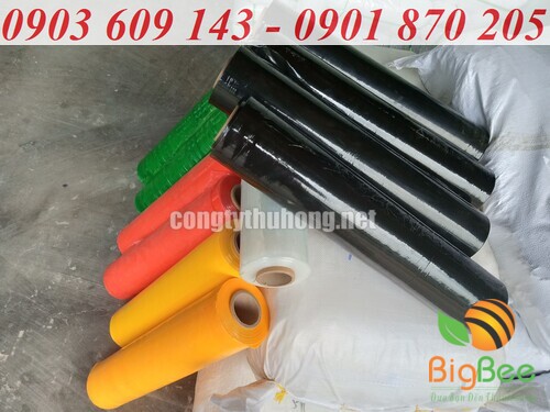 màng pe màu đen, xanh lá, đỏ, vàng
