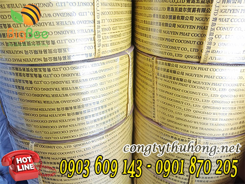 Dây đai nhựa in logo