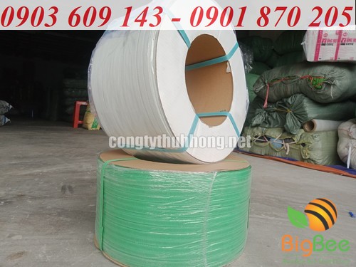 Cuộn dây đai PP 10kg trắng, xanh lá tại xưởng