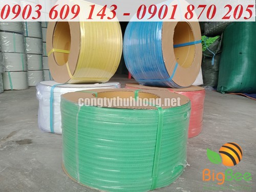 Cuộn dây đai màu vàng, xanh lá, xanh dương, trắng tại xưởng