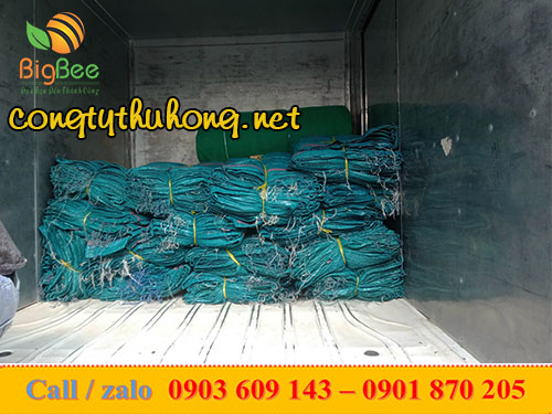 bao tải dứa xanh