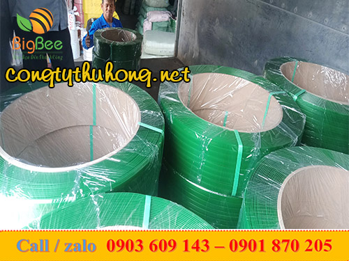 Dây đai nhựa PET xanh 1f5 cuộn 20kg