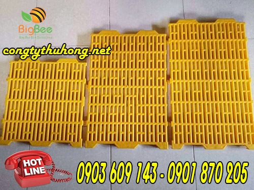 sàn nhựa chăn nuôi