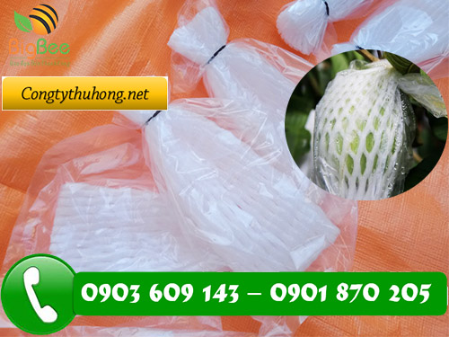 Xốp bọc ổi giá rẻ