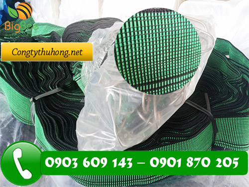 Dây ràng xanh bản lớn