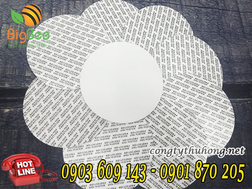 Màng seal giấy psp tự dính