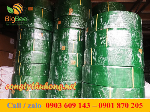 Dây đai nhựa PET cuộn 20kg