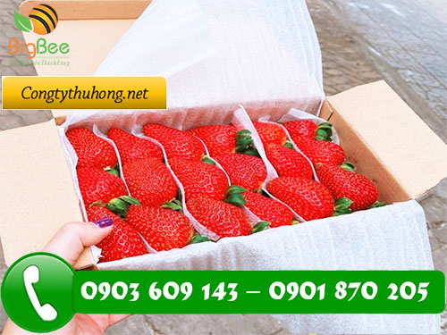 màng foam giá rẻ