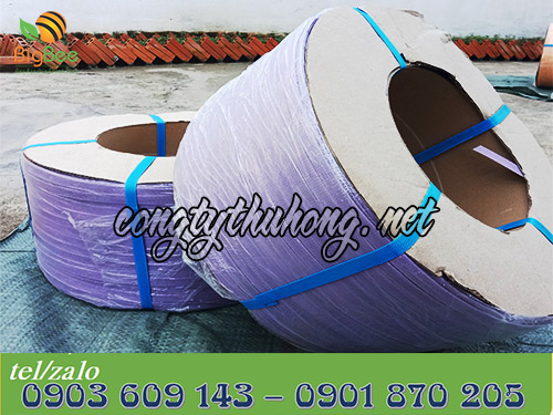 Cuộn dây đai pp 10kg không lõi 1f2