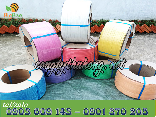 Dây đai nhựa pp cuộn 10kg nhiều màu