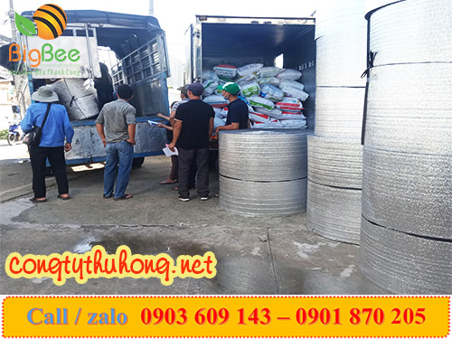 xốp foam cách nhiệt