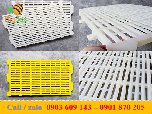 Các loại tấm nhựa làm sàn lót chuồng chăn nuôi